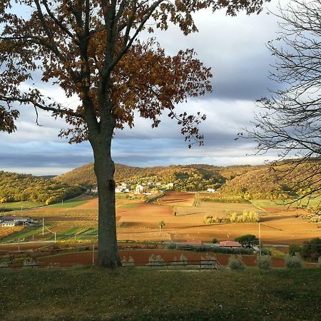 Villaga Paglia E Fieno Bed & Breakfast エクステリア 写真