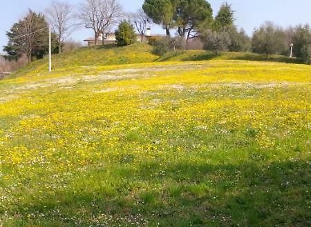 Villaga Paglia E Fieno Bed & Breakfast エクステリア 写真