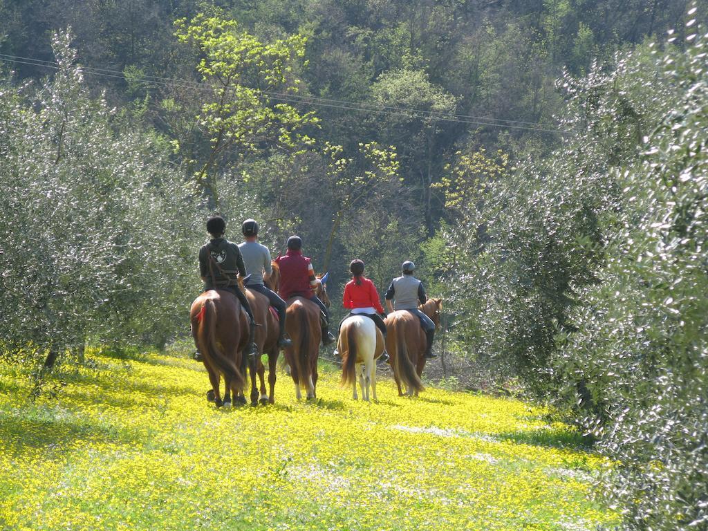 Villaga Paglia E Fieno Bed & Breakfast エクステリア 写真