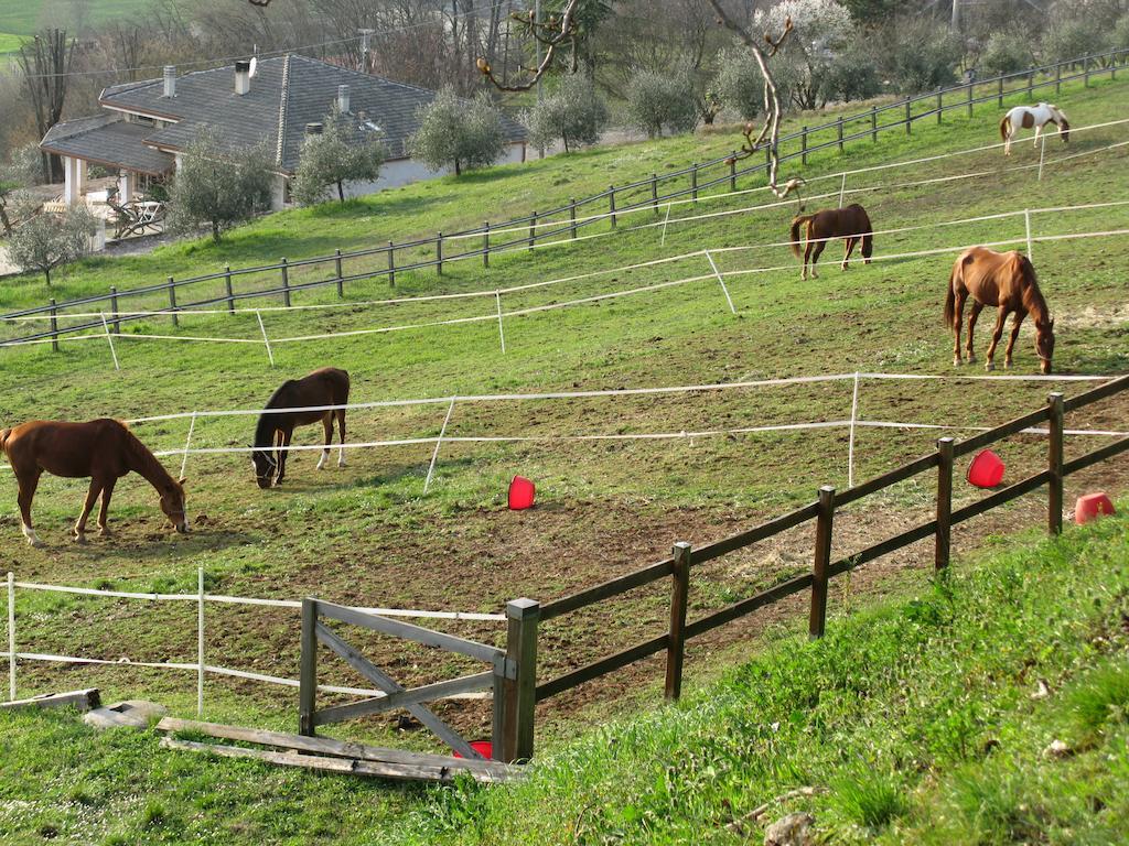 Villaga Paglia E Fieno Bed & Breakfast エクステリア 写真