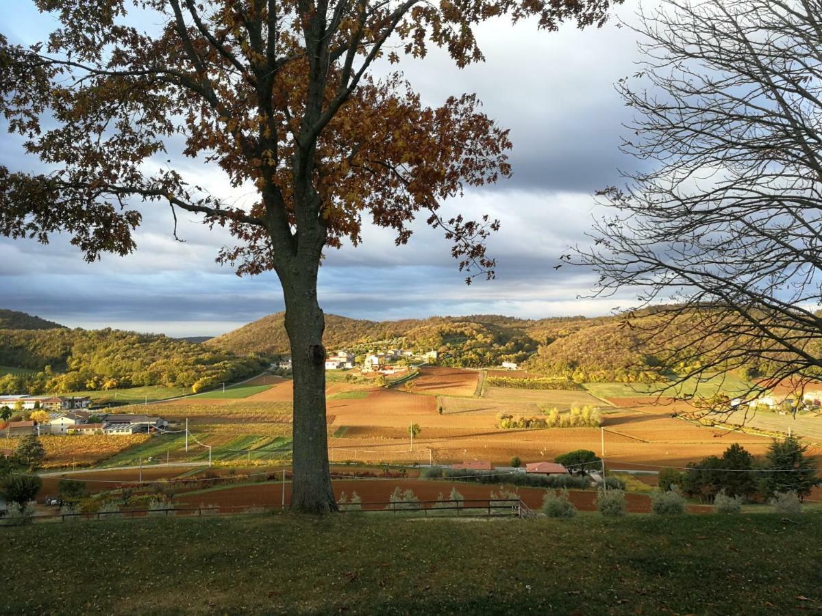 Villaga Paglia E Fieno Bed & Breakfast エクステリア 写真